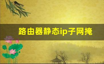 路由器静态ip子网掩码怎么填