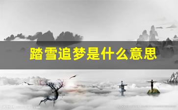 踏雪追梦是什么意思