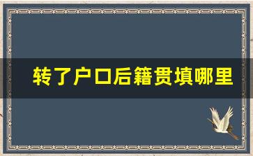 转了户口后籍贯填哪里