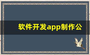 软件开发app制作公司_程序开发公司