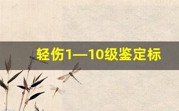 轻伤1—10级鉴定标准_打人一巴掌赔偿10万元