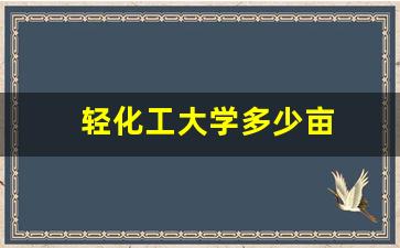 轻化工大学多少亩