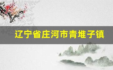 辽宁省庄河市青堆子镇_庄河市青堆镇怎么样