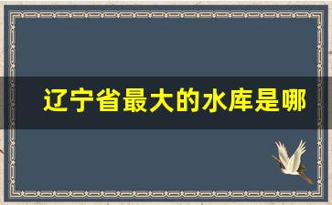 辽宁省最大的水库是哪个水库_大伙房水库全国第几大