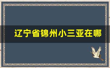 辽宁省锦州小三亚在哪