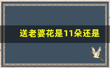 送老婆花是11朵还是19朵