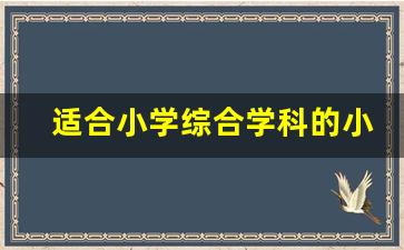 适合小学综合学科的小课题