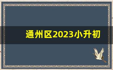 通州区2023小升初人数