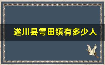 遂川县雩田镇有多少人口_遂川县五斗乡人口多少