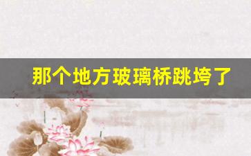 那个地方玻璃桥跳垮了_玻璃桥事故死亡