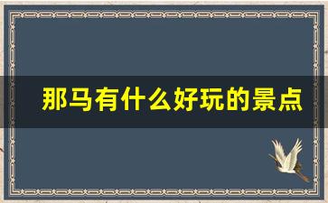 那马有什么好玩的景点_巴马旅游景点在什么地方