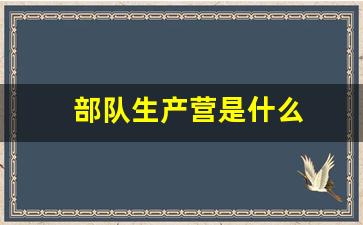 部队生产营是什么