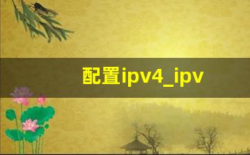 配置ipv4_ipv4手动设置参数多少