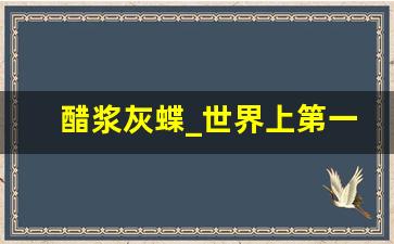 醋浆灰蝶_世界上第一漂亮的蝴蝶