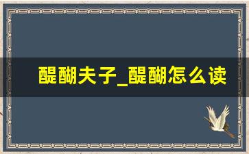 醍醐夫子_醍醐怎么读什么意思