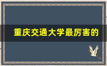 重庆交通大学最厉害的专业