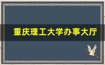 重庆理工大学办事大厅入口_重庆理工大学校长信箱流程