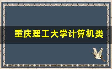 重庆理工大学计算机类专业_重庆理工大学计算机学院官网