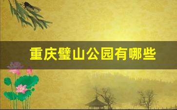 重庆璧山公园有哪些