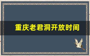 重庆老君洞开放时间