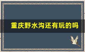 重庆野水沟还有玩的吗