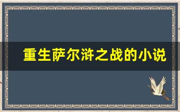 重生萨尔浒之战的小说_重生明末辽东卫