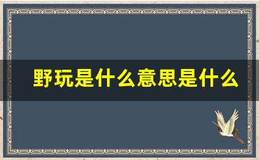 野玩是什么意思是什么