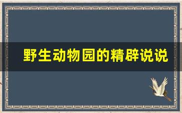 野生动物园的精辟说说_去动物园简短文案