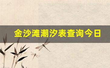 金沙滩潮汐表查询今日_2023今天退潮时间是几点钟