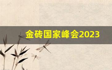 金砖国家峰会2023举办地热_金砖峰会2022举办城市