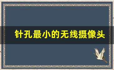 针孔最小的无线摄像头_最小摄像头1mm