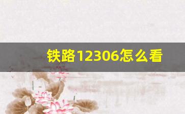 铁路12306怎么看座位_怎么查询自己的车票座位号