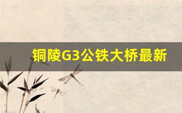 铜陵G3公铁大桥最新进展