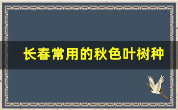 长春常用的秋色叶树种