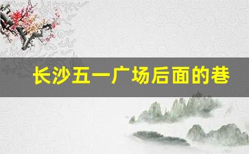 长沙五一广场后面的巷子_长沙解放西路快餐服务