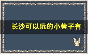 长沙可以玩的小巷子有哪些_去了星沙二区要怎么找地方