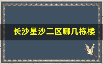 长沙星沙二区哪几栋楼有玩的_长沙星沙在哪玩快餐