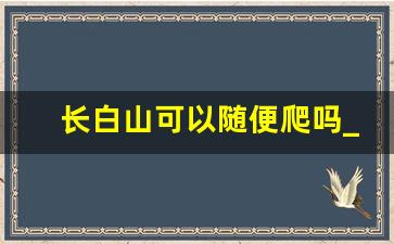 长白山可以随便爬吗_长白山能直接上山顶吗