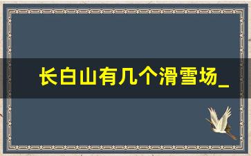 长白山有几个滑雪场_先去延吉还是先去长白山