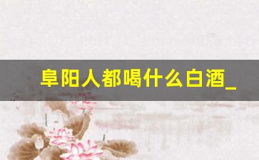 阜阳人都喝什么白酒_2021年颍州佳酿50度口感