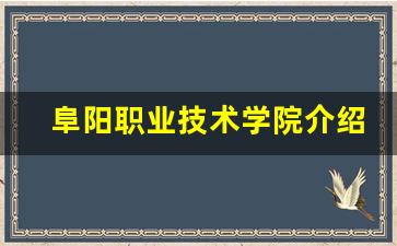 阜阳职业技术学院介绍_阜阳职业技术学院在哪