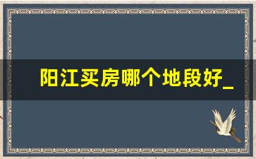 阳江买房哪个地段好_外地人在阳江买房条件