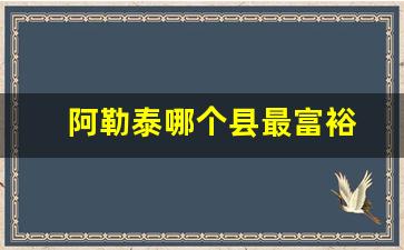 阿勒泰哪个县最富裕