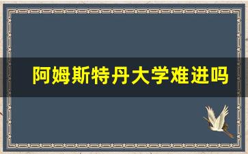 阿姆斯特丹大学难进吗_荷兰阿姆斯特丹商学院排名