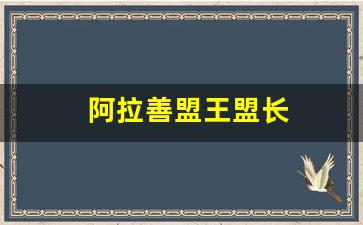 阿拉善盟王盟长