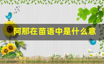 阿那在苗语中是什么意思_苗语中塔涂的意思