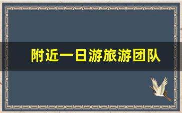 附近一日游旅游团队