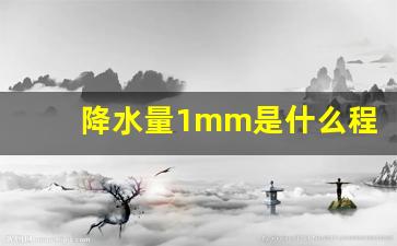 降水量1mm是什么程度