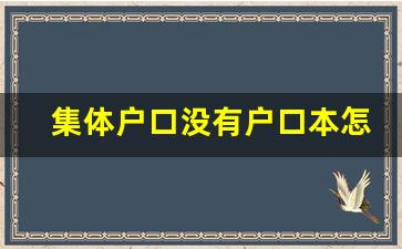 集体户口没有户口本怎么办_入集体户口好不好