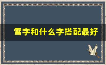 雪字和什么字搭配最好_有内涵带有雪的名字2个字